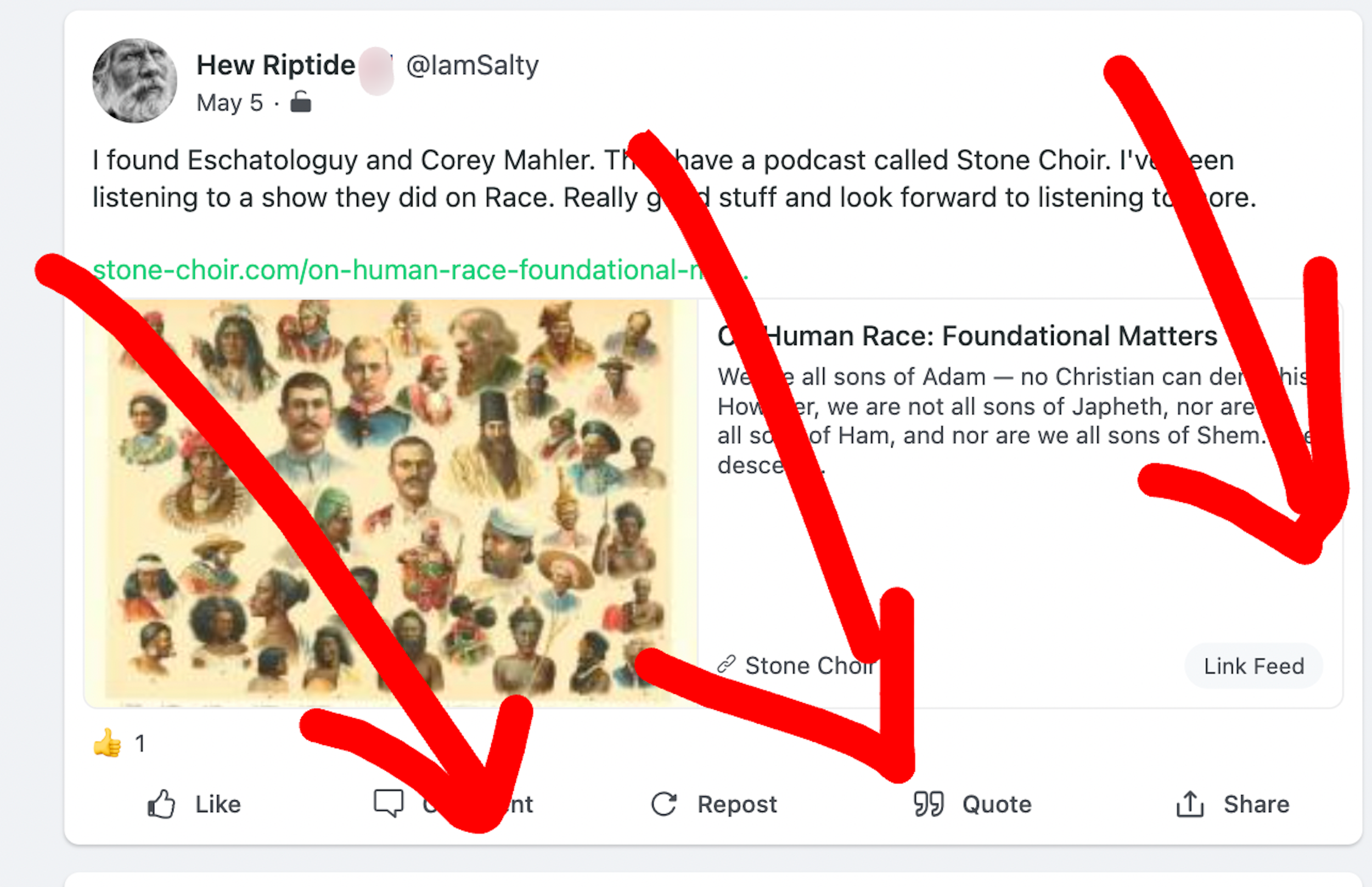 Gab user expressing excitement about Stone Choir episode on race, with preview pic of 19th century chart showing representatives of diff. races.