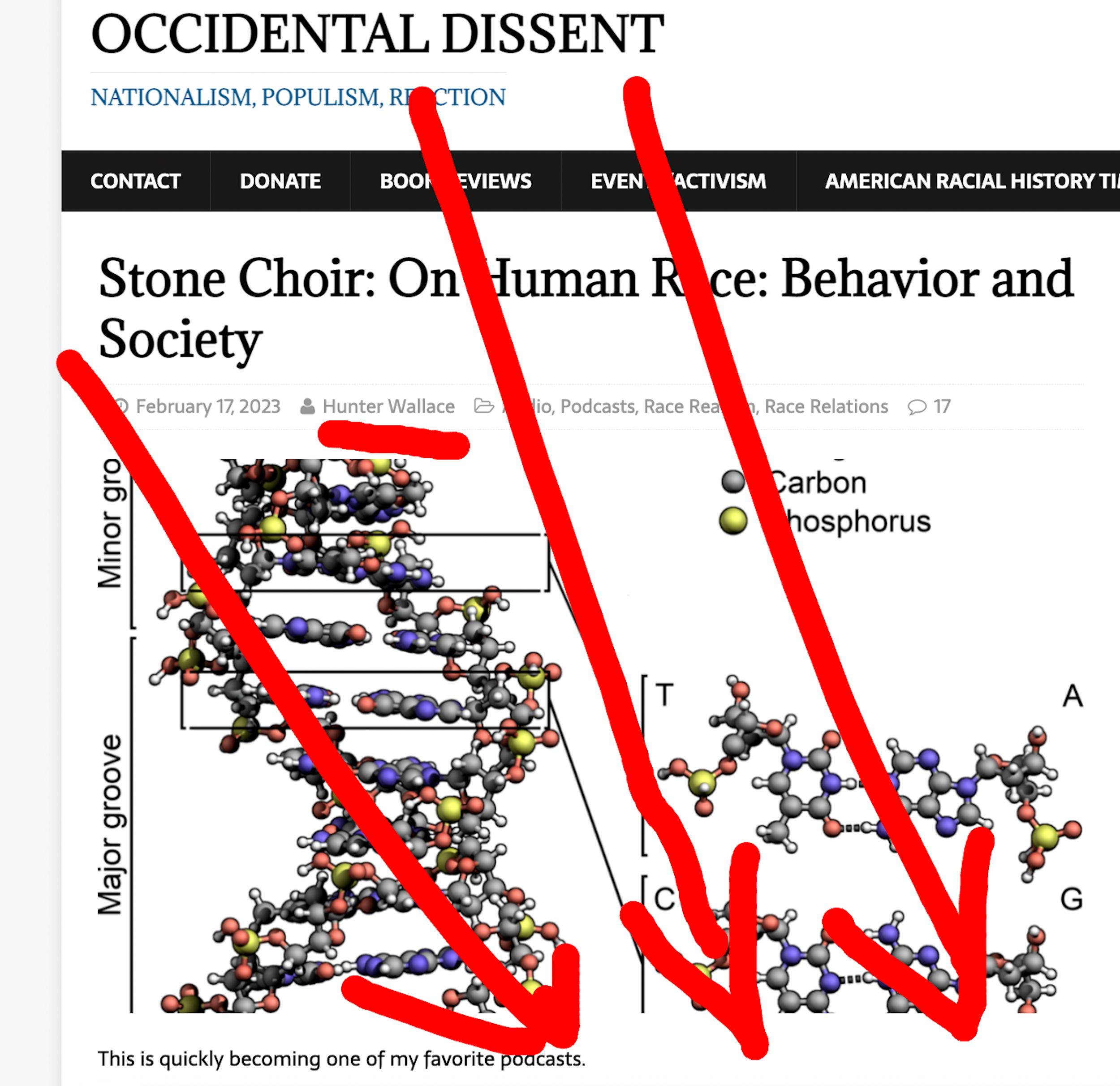 Occidental Dissent page, on which "Hunter Wallace" (Bradley Dean Griffin) promotes the Stone Choir "on Human Race" ep and says "This is becoming one of my favorite podcasts."
