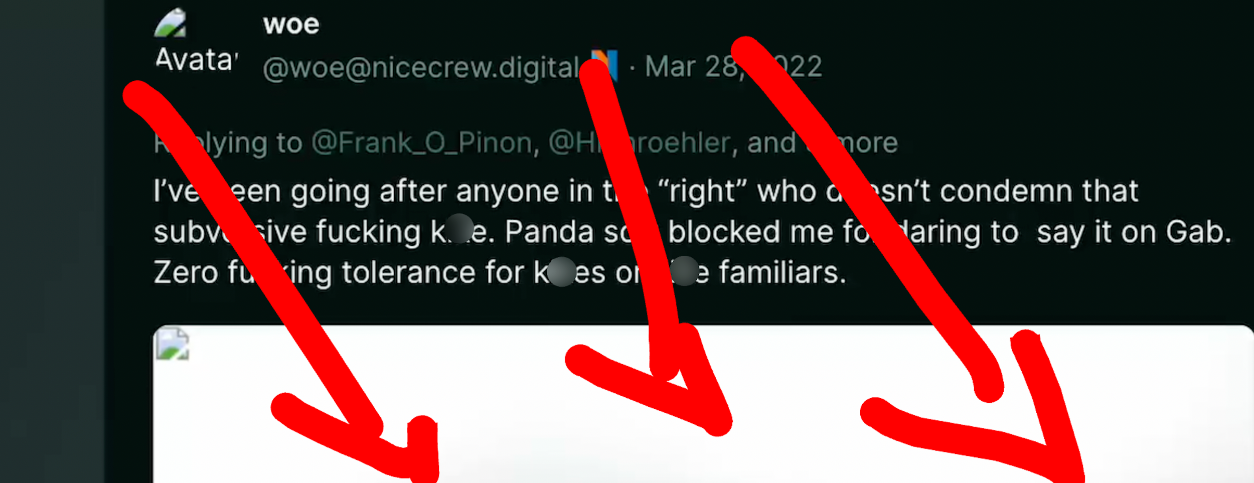 TW antisemitism. Dumperth on Poast: "I've been going after anyone in the 'right' who doesn't condemn that subversive fucking k*ke. Panda soft blocked me for daring to say it on Gab. Zero fucking tolerance for k*kes or k*ke familiars."