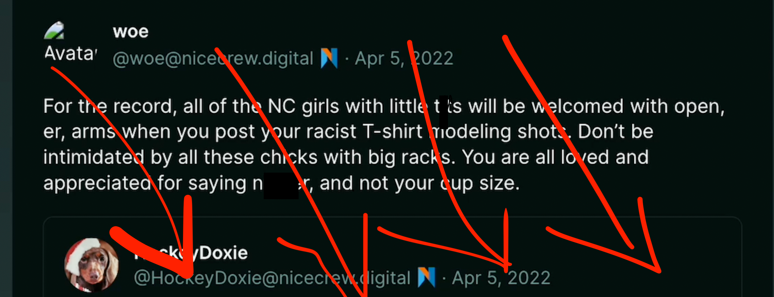 Woe on Poast: "For the record, all you NC (nice crew) girls with little t*ts will be welcomed with open, er, arms when you post your racist T-shirt modeling shts. Don't be intimidated by all these chicks with big racks. You are all loved and appreciated for saying n----r, and not your cup size.