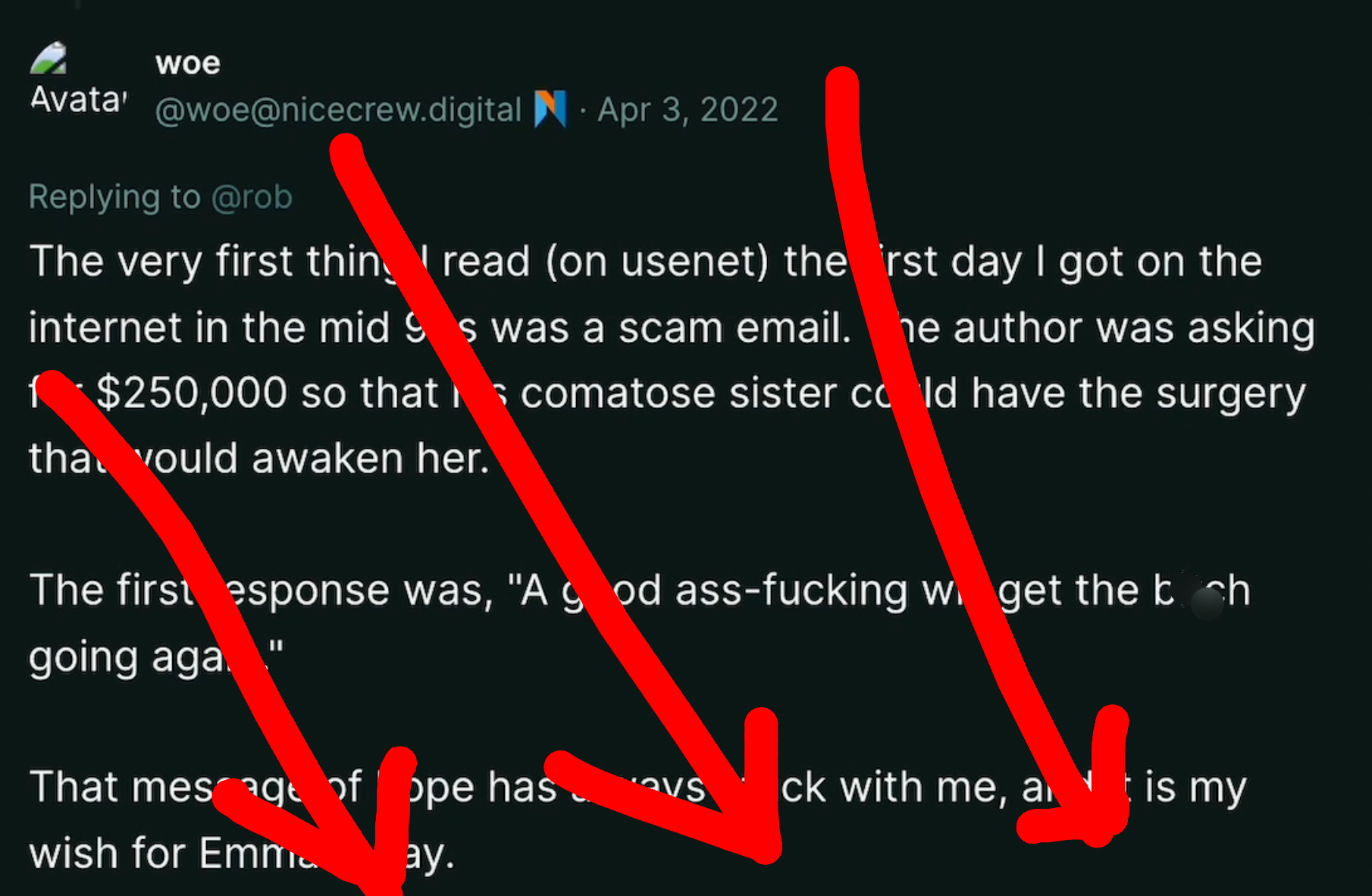 Dumperth on Poast: "The very first thing I read (on usenet) the first day I got on the internet in the mid 90s was a scam email. The author was asking for $250,000 so that his comatose sister could have the surgery that would awaken her. The first response was, 'A good ass-fucking will get the b*tch going again.' That message of hope has always stuck with me, and it is my wish for Emma today."